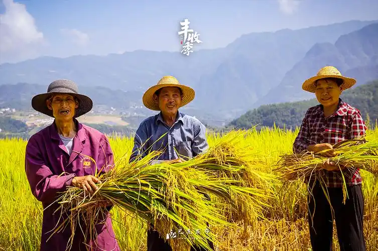 丰收节里"晒"丰收