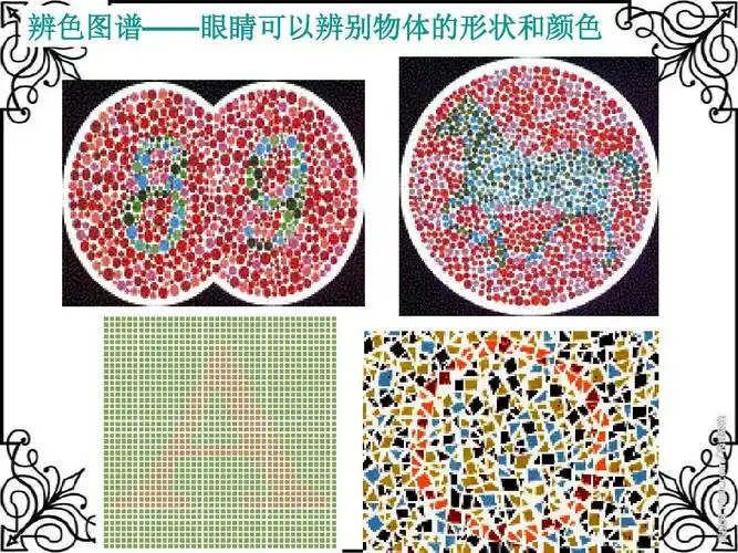 辨色图谱——眼睛可以辨别物体的形状和颜色
