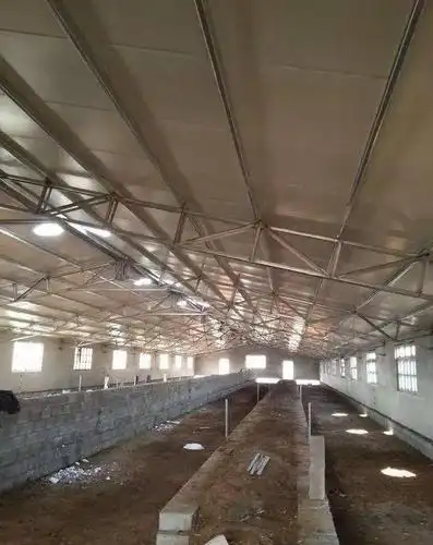 花10万建了个气派的羊舍,结果…_羊圈