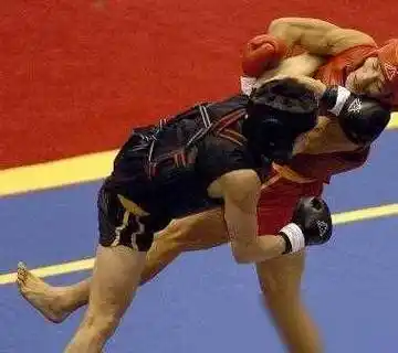 技术贴五大散打攻防技巧