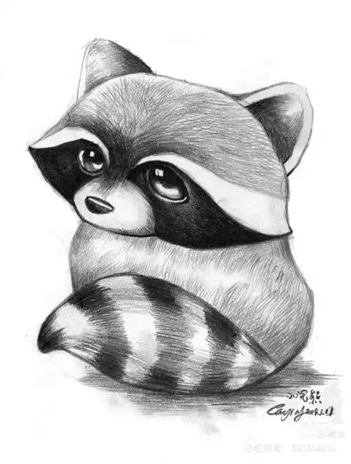 趣味素描,动物,第七课,毛发处理