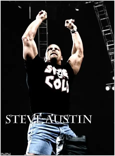 wwethe rock 和冷石回归后怎样也没有剧情?