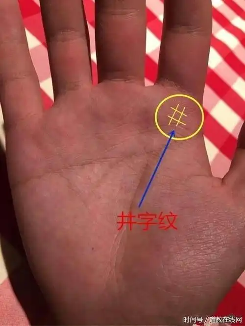 手相:巽宫田字纹,园宅广阔万事顺,荣华富贵少不了!