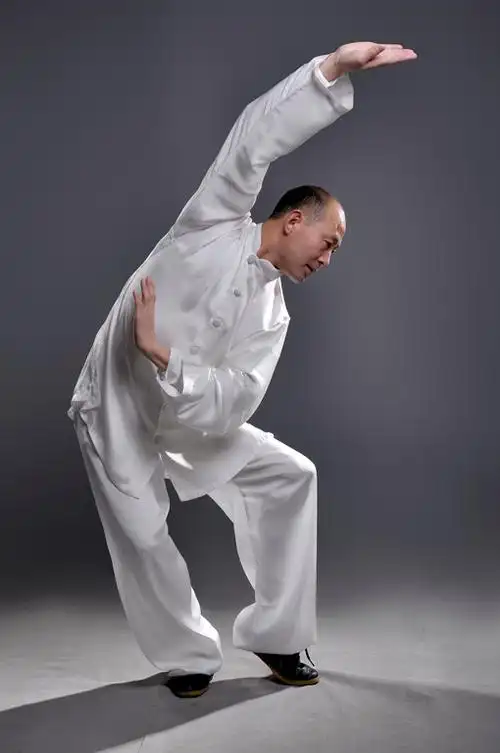 健身气功·大舞中医理论阐释(二)