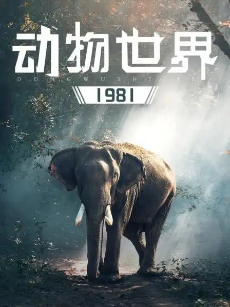 动物世界 1981