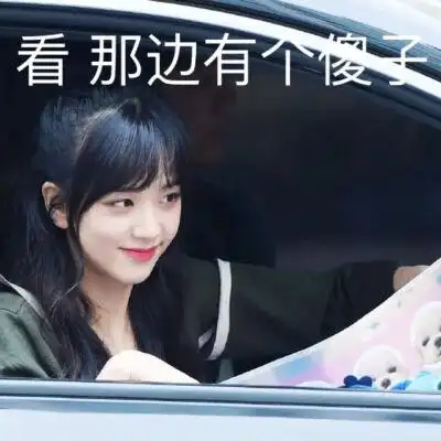 blackpink 金智秀jisoo 表情包