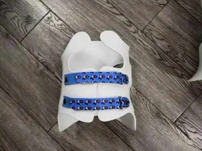 昆明老年脊柱侧弯康复中心 云南晟康假肢矫形器公司供应