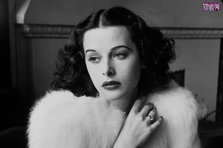 sharks teeth 的喜欢