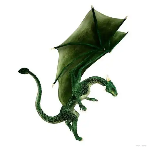 单爪龙的身长大约为10至12