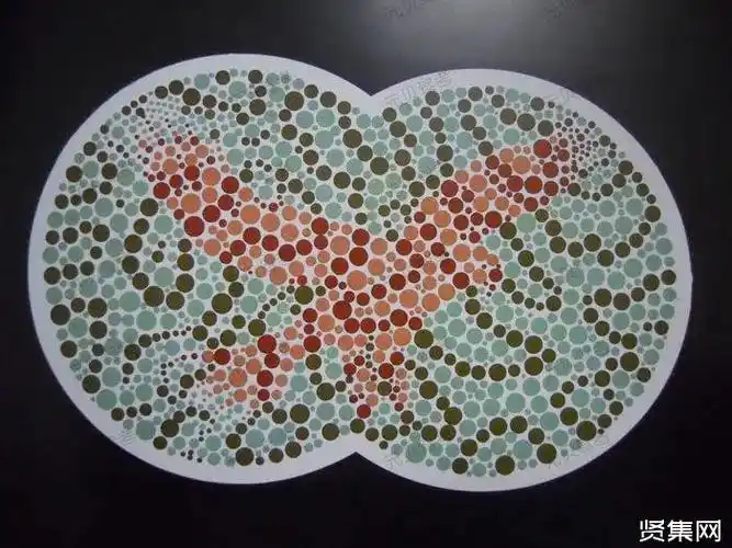 视力需要达到多少,听说考驾照体检近视过不了