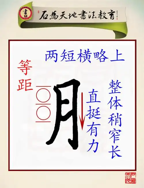 1,注意"月字旁"的书写要点.