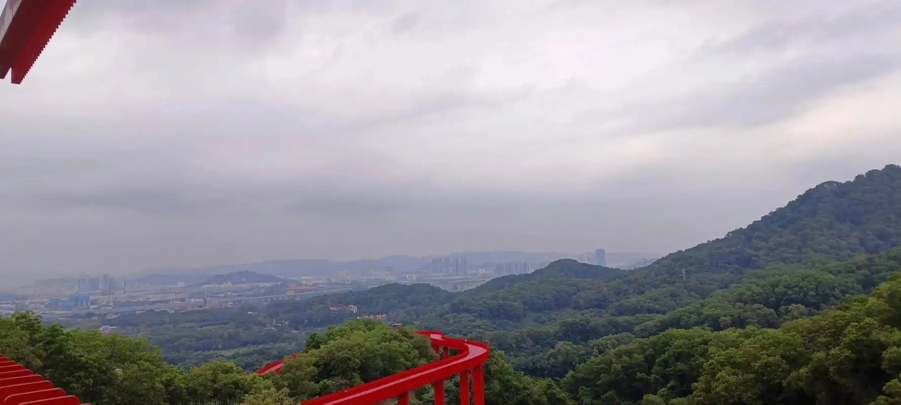 深圳虹桥公园 欢迎来到深圳虹桥公园,这里是一座以运动为主题的公园.