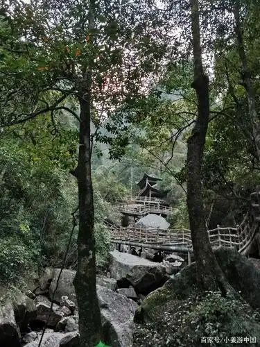 小游郴州莽山猴王寨