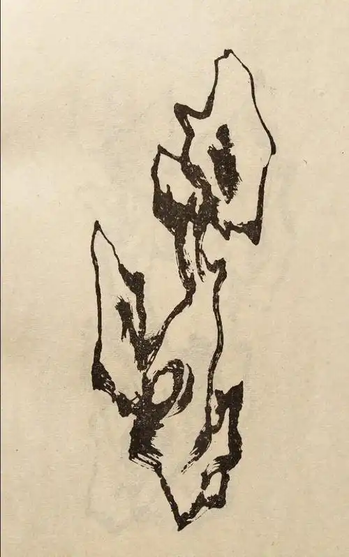 国画---好美的太湖石( 学画石素材)