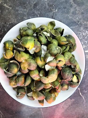 2023年野山桔子皮青皮新货青橘皮青桔皮小青皮500g买5斤送1斤