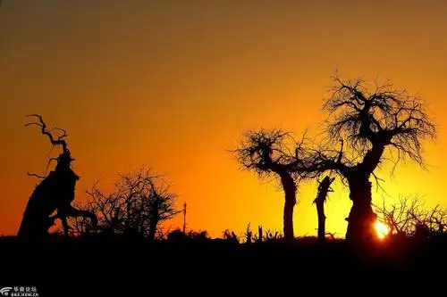 苍茫大漠戈壁黄昏似血残阳