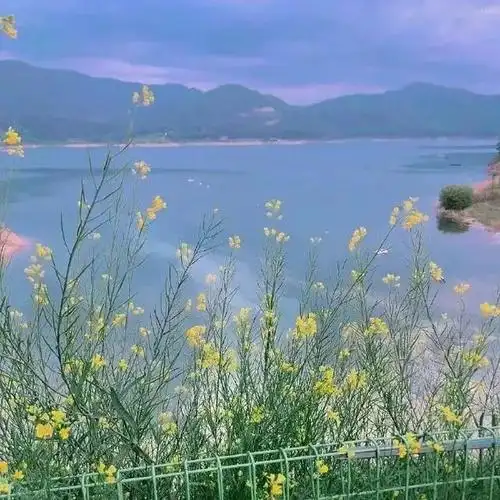 海边朋友圈背景图_手机网易网