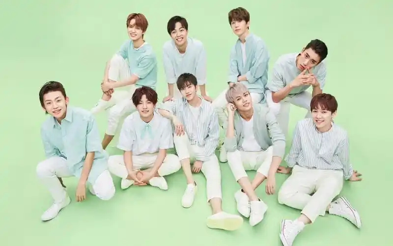 ninepercent为什么叫奶泡团,百