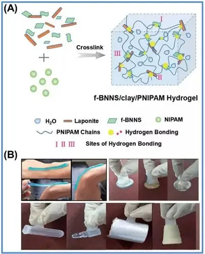 (a) f-bnns/粘土/pnipam三元网络水凝胶形成的示意图.