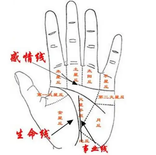 手心拥有五个"宝",非富即贵,一辈子财源不断_手相