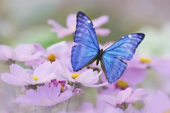 也要守住自己人生.