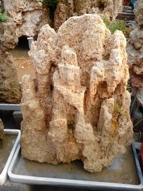 吸水石假山 假山盆景 净化空气 上水石