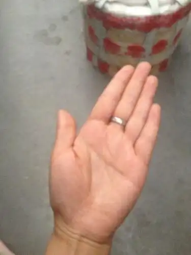 15 2009-06-03 女人左手断掌是会克夫吗?