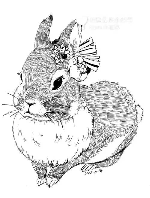 线描一只肥兔子