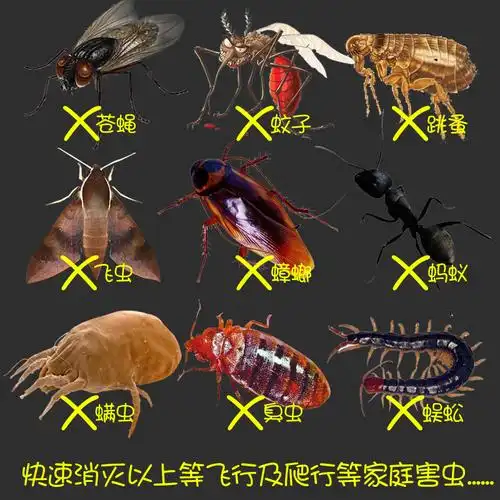 郁康杀虫剂家用灭跳蚤药蟑螂药喷雾剂蚂蚁虱子臭虫药除螨蟑螂屋