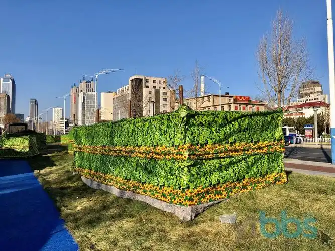 冬季城市树木新围挡