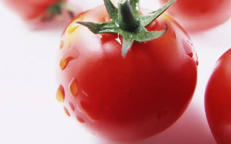 夏季鲜红多汁诱人美味西红柿高清特写桌面壁纸第二辑