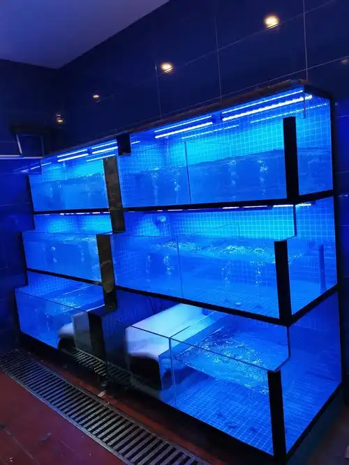 龙泉上林春更好海鲜池 - 异型鱼缸 - 四川汇生逸家水族有限公司