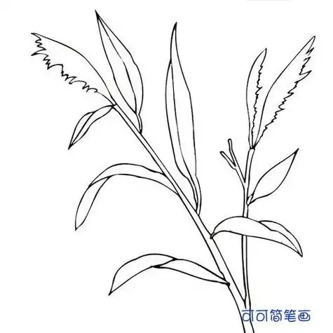 画法图片幼儿园小草简笔画图片小草简笔画图片大全 一棵小草可爱小草