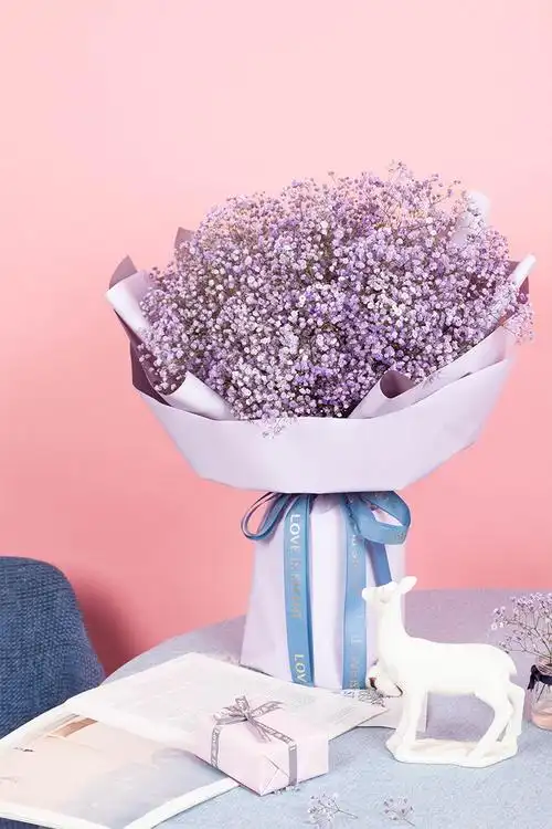 满天星-浅紫-满天星1扎69