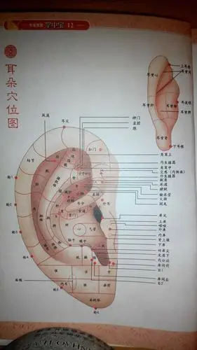 追问 耳背降压沟是哪里呀 回答 耳背沟 追问 哦,谢谢你