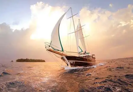 扬帆起航的句子