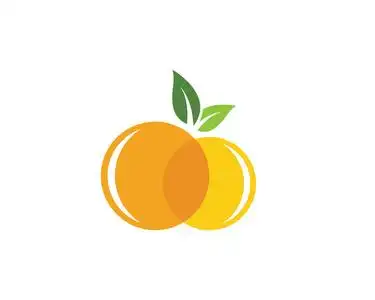 橙色徽标设计矢量橙子 logo有的插图,三维矢量创意模板模式与美圆飞越