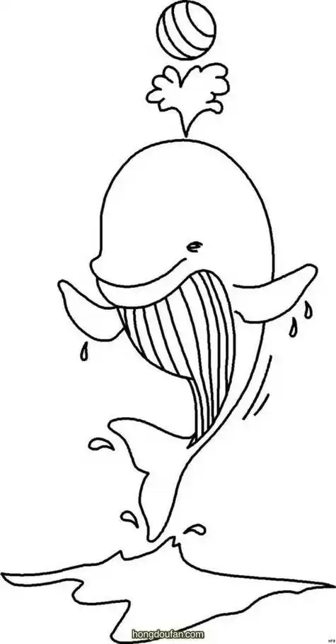 海豚在表演简笔画
