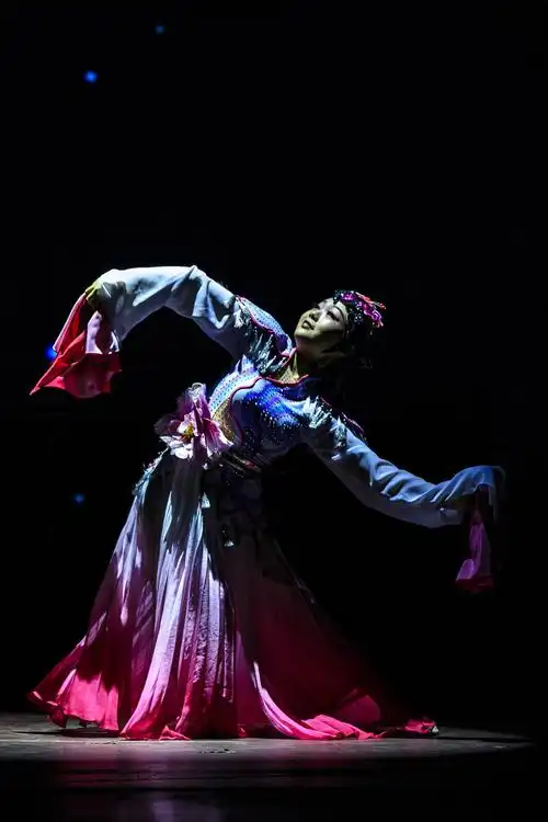 古典舞《袖舞芬芳》