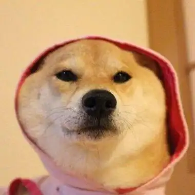 可爱萌宠qq头像高清好看的可爱萌宠头像图片精选