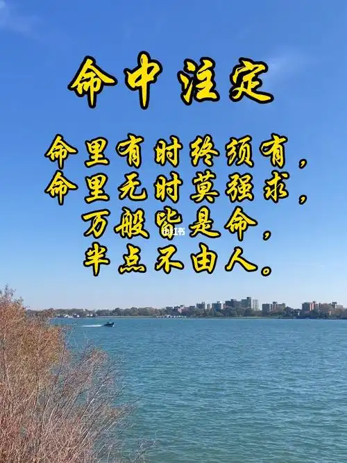 命中注定
