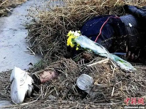 日本警察厅称已确认地震致4255人死亡8194人失踪