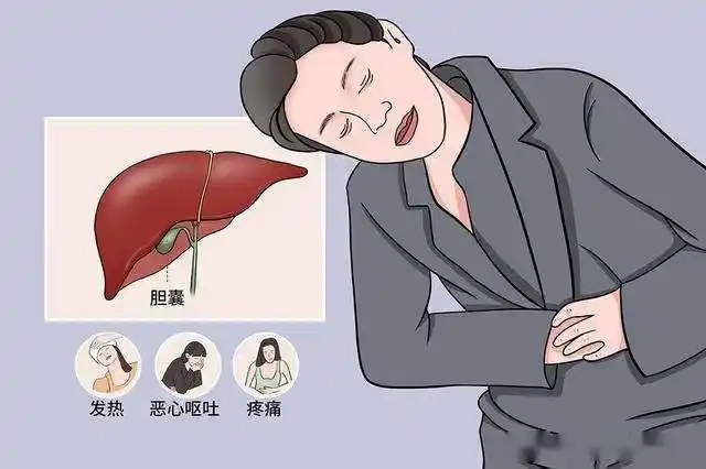 胆囊炎胆结石送你八味中药辛开苦降祛邪排浊