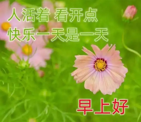 最漂亮的早上好问候动态图片,最新最美早安问候语