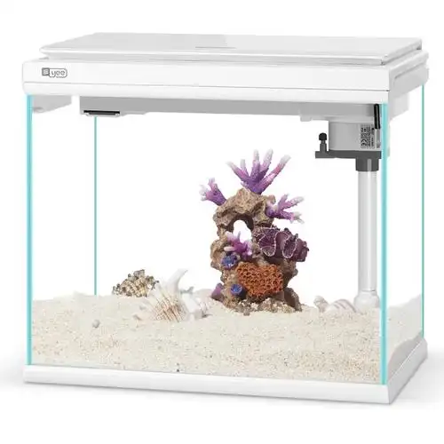 小型鱼缸造景水族箱办公客厅家用桌面超白玻璃生态鱼缸懒人金鱼缸