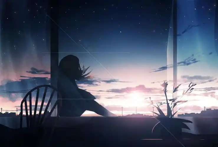 我不孤独,也不寂寞