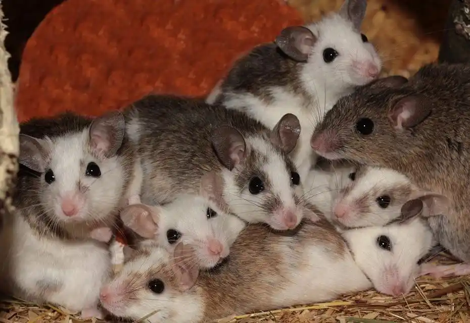 30岁以后,遇贵人,遇福人,遇四生肖吉祥