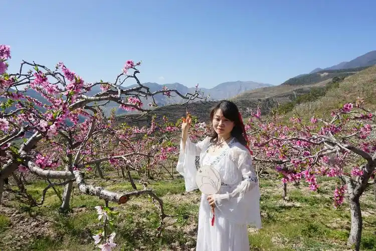 桃花树下桃花仙儿