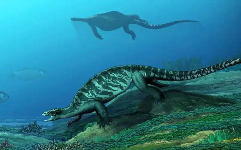 【鬼谷闲谈】龟:来自三叠纪的神秘奇迹