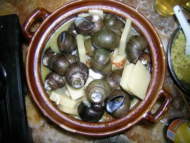 p>山田螺国内主要分布于浙江杭州,广西山地.